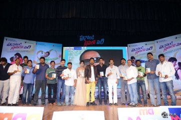 Paddanandi Premalo Mari Movie Audio Launch